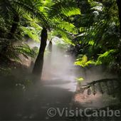 Australian National Botanic Gardens