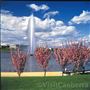 Lake Burley Griffin