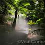 Australian National Botanic Gardens