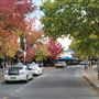 Franklin Street
