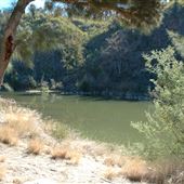 Casuarina Sands