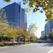 Marcus Clarke Street