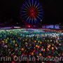 Floriade