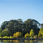 Lake Burley Griffin