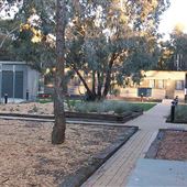 Camp Cottermouth