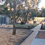 Camp Cottermouth