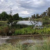 Lyneham