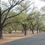 Dunrossil Drive