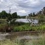 Lyneham