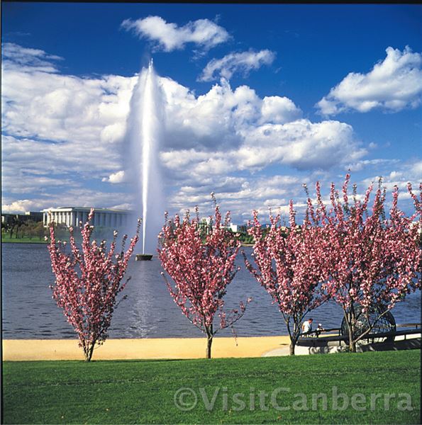 Lake Burley Griffin (3/31/2022)
