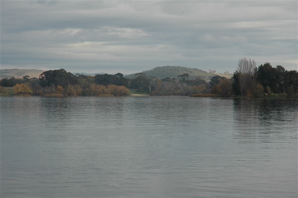 Lake Burley Griffin (3/31/2022)
