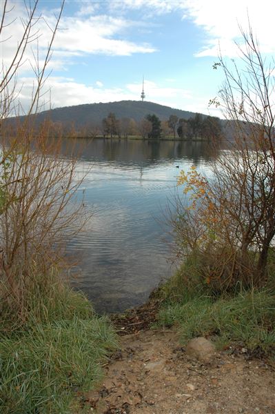 Lake Burley Griffin (3/31/2022)