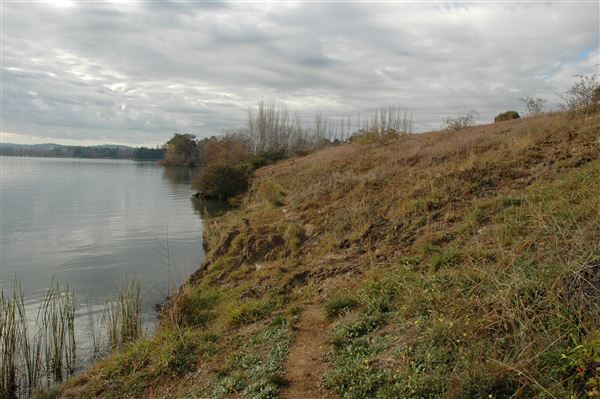 Lake Burley Griffin (3/31/2022)