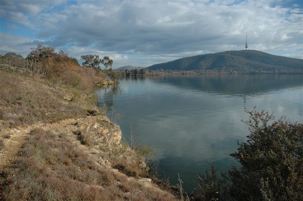 Lake Burley Griffin (3/31/2022)