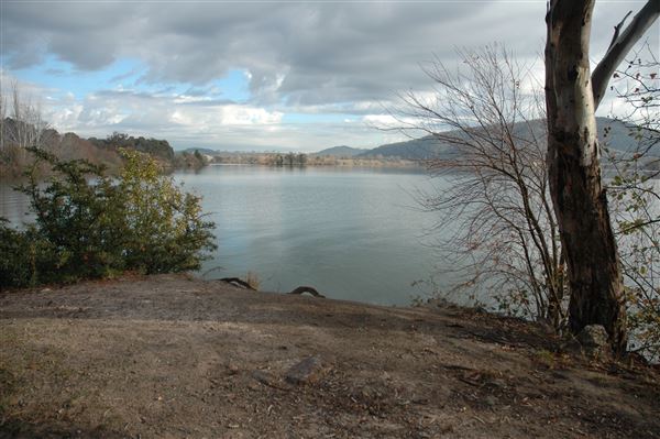 Lake Burley Griffin (3/31/2022)