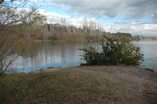 Lake Burley Griffin (3/31/2022)
