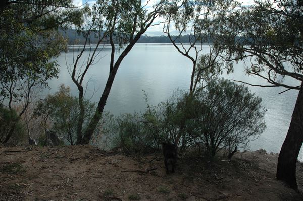 Lake Burley Griffin (3/31/2022)