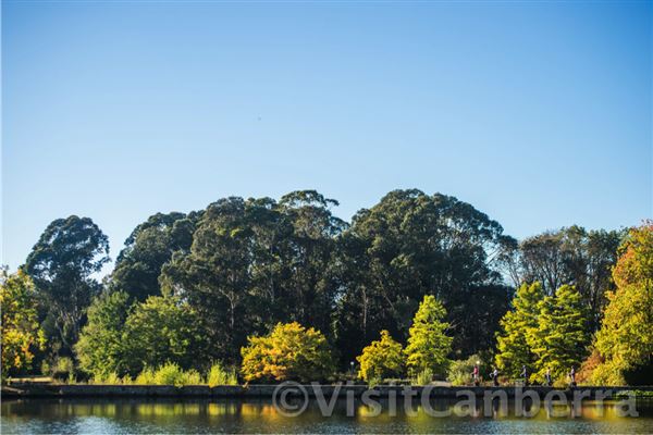 Lake Burley Griffin (3/31/2022)